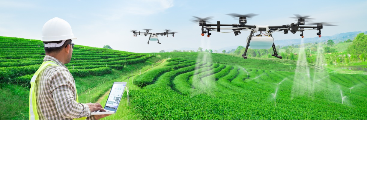 Farmer using AI-based mobile application for crop advisory under MahaAgri-AI policy